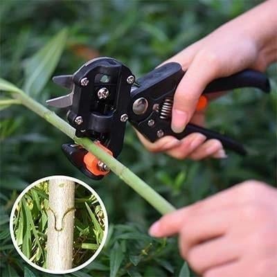 GRAFTOOL®|  EXCLUSIVA TIJERA PROFESIONAL PARA JARDINERÍA | ⭐⭐⭐⭐⭐